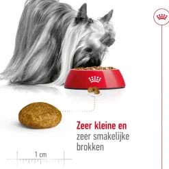 Royal Canin X-Small Adult - Hondenvoer