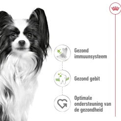 Royal Canin X-Small Adult - Hondenvoer