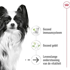 Royal Canin X-Small Ageing 12+ - Hondenvoer