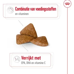 Royal Canin X-Small Ageing 12+ - Hondenvoer