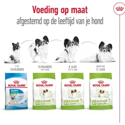 Royal Canin X-Small Ageing 12+ - Hondenvoer