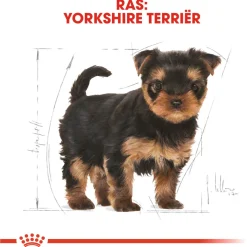 Royal Canin Yorkshire Terrier - Puppy-Hondenvoer - 1.5 kg
