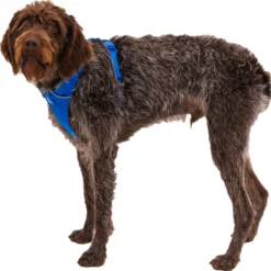 Ruffwear Front Range Harnass Blauw - Hondentuig