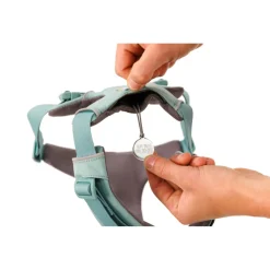 Ruffwear Front Range Harnass Agavegroen - Hondentuig