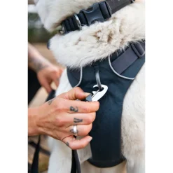 Ruffwear Front Range Harnass Donkergrijs - Hondentuig