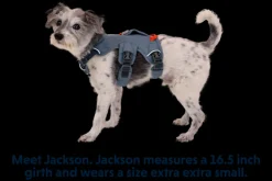 Ruffwear Web Master Harness Blauw - Hondenharnas