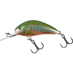 Salmo Hornet Floating 5cm Holo Oikawa - Plug -