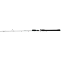 Salmo Salmo Tollmaster 240cm - Roofvishengel - 40-60 g 2 stuks