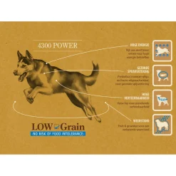 Sam's Field 4300 Power Kip&Aardappel - Hondenvoer