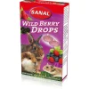 Sanal Wild Berry Drops - Knaagdiersnack - 45 g