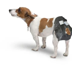 Savic Comfort Nappy Hondenluier - Hondenzindelijkstraining