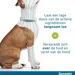 Seresto Teken- En Vlooienband Large - Anti tekenmiddel