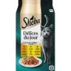 Sheba Delices Du Jour In Gelei Maaltijdzakjes - Kattenvoer - Gevogelte 6x50 g
