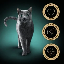 Sheba Mini Filets In Saus Maaltijdkuipjes Multipack - Kattenvoer - Vis Saus 32x85 g