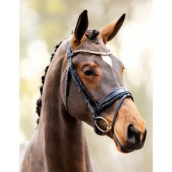 Showtime Hoofdstel - Rijbenodigdheden - Zwart Cob