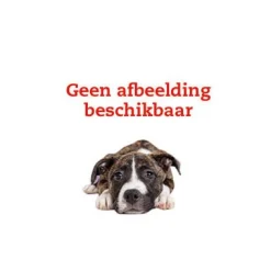 Showtime Hoofdstel Evalira Zwart - Rijbenodigdheden