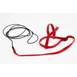 Sky Pet Products Avian Adventure Harness Rood - Vogeltuigje