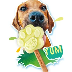 Smoofl Honden Ijs 160 g - Hondensnacks