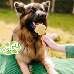 Smoofl Honden Ijs 160 g - Hondensnacks