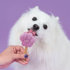 Smoofl Honden Ijs 160 g - Hondensnacks