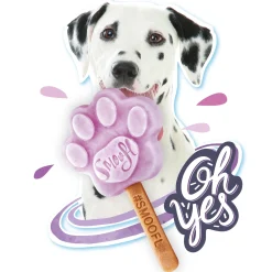 Smoofl Honden Ijs 160 g - Hondensnacks