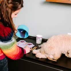 Smoofl Honden Ijs 160 g - Hondensnacks