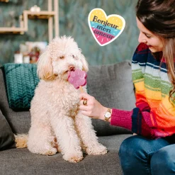 Smoofl Honden Ijs 160 g - Hondensnacks