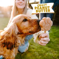 Smoofl Honden Ijs 160 g - Hondensnacks