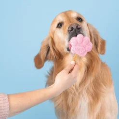 Smoofl Honden Ijs 160 g - Hondensnacks