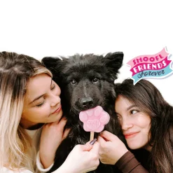 Smoofl Honden Ijs 160 g - Hondensnacks