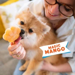 Smoofl Honden Ijs 160 g - Hondensnacks