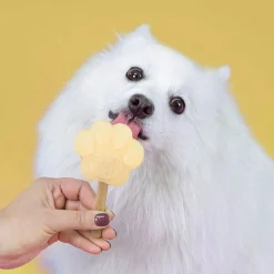 Smoofl Honden Ijs Starter Kit Small - Hondensnacks - Aardbei Pindakaas S