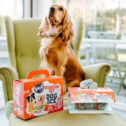 Smoofl Honden Ijs Startersset - Hondensnacks - Aardbei Pindakaas M