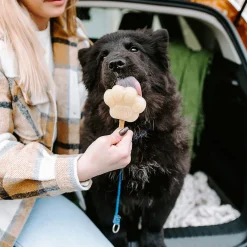 Smoofl Puppy Ijs 160 g - Hondensnacks