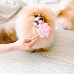 Smoofl Puppy Ijs 160 g - Hondensnacks