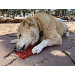 Sodapup Lickmat Love Hearts - Hondenvoerbak - Rood S