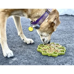 Sodapup Mandala Etray Feeder - Hondenvoerbak - Ø20 cm Groen