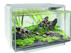 Superfish Aquarium Home 25 - Aquaria
