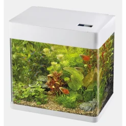 Superfish Aquarium Panorama 35 Led - Aquaria - 38x26.5x39.5 cm Wit Ca. 35 L