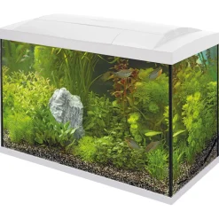 Superfish Aquarium Start 70 Tropical Kit Retro Led 60 l - Aquaria