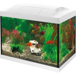 Superfish Aquarium Start 20 Goldfish Kit Led 16 l - Aquaria