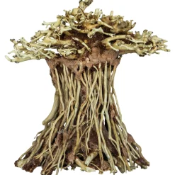Superfish Bonsai Mushroom - Aquarium - Ornament - Small