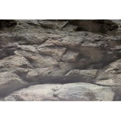 Superfish Deco Poster - Aquarium - Ornament