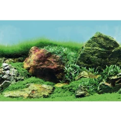 Superfish Deco Poster - Aquarium - Ornament