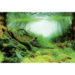 Superfish Deco Poster - Aquarium - Ornament