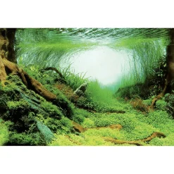 Superfish Deco Poster - Aquarium - Ornament