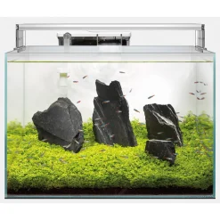 Superfish Scaper 45 - Aquaria - 45x32x32 cm 45 l Transparant