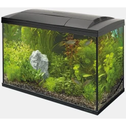 Superfish Start 100 Tropical Kit - Aquaria - 68x35x51 cm Zwart