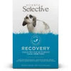 Supreme Vetcareplus Recovery - Supplement - 10x20 g 10 stuks