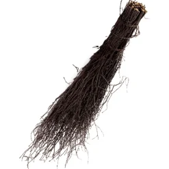 Talen Tools Heksenbezem Met Steel - Reiningingsgereedschap - 210 cm 1350 g per stuk